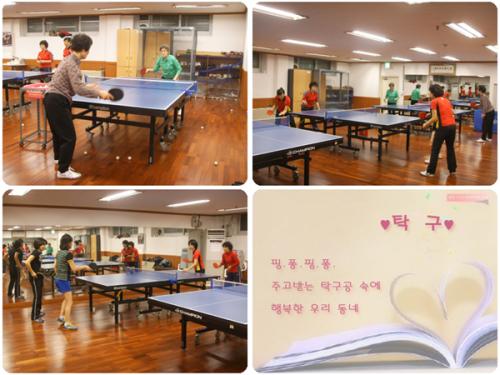 [주민자치센터]탁구 이미지