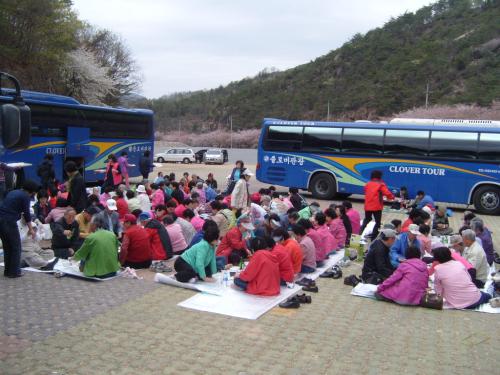 경로당합동야유회 실시 이미지