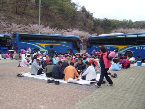 경로당 야유회 1 이미지
