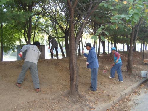 24호 소공원 환경정비 이미지