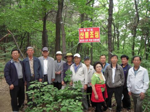 2010년 산불예방 캠페인 실시 이미지