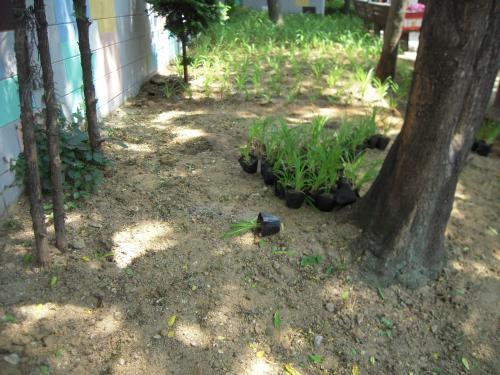 2010년 희망근로사업 이미지