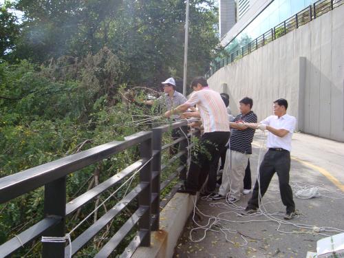 태풍 피해 현장 점검 및 복구 활동 이미지