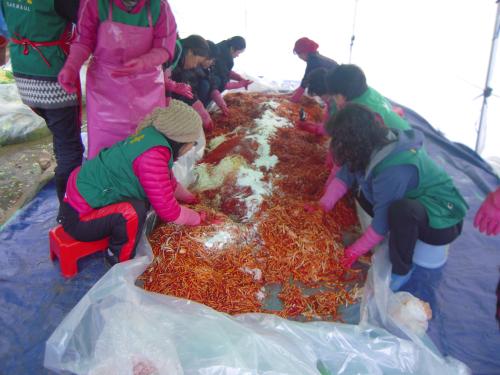 2010.11.26 사랑의 김장담그기 이미지