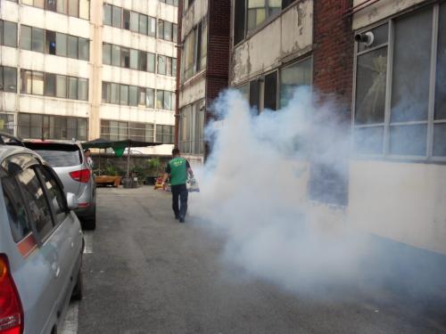 관내 방역활동 실시 이미지