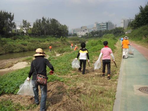 하천정화활동  이미지