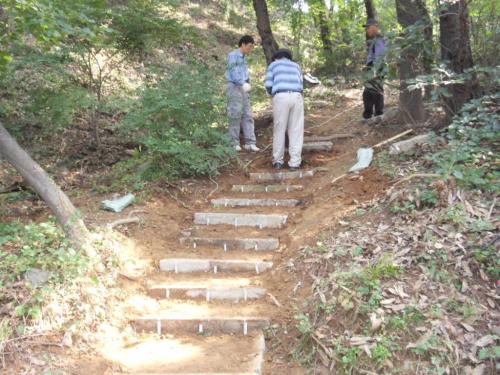 2010 희망근로사업 이미지