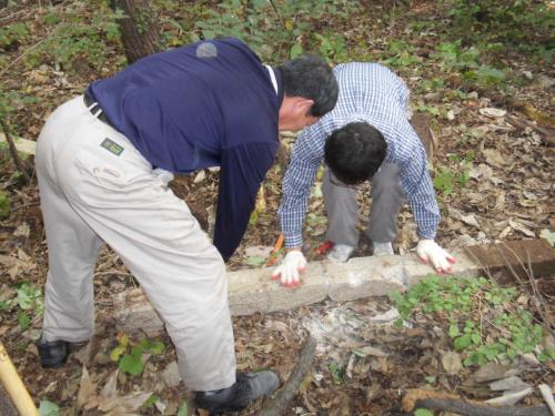 2010 희망근로사업 이미지