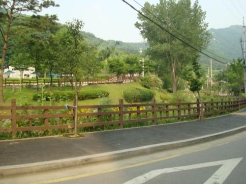 안양9동주민센터 벚꽃나무 등 식재 이미지