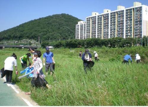 박달1동, 안양천 정화활동 전개 이미지