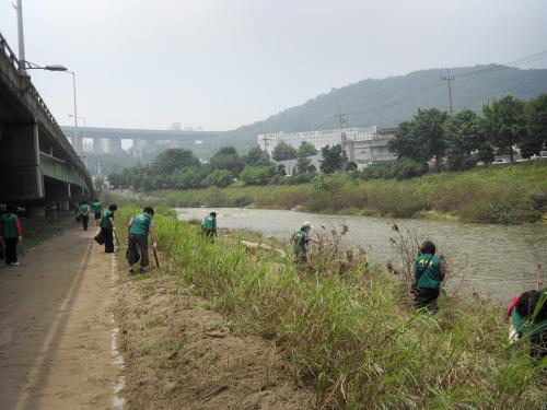 안양천 정화활동 이미지