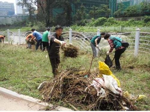 안양천 정화활동 이미지