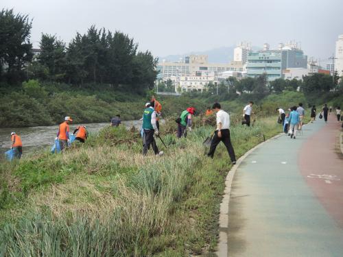 하천정화 활동 이미지