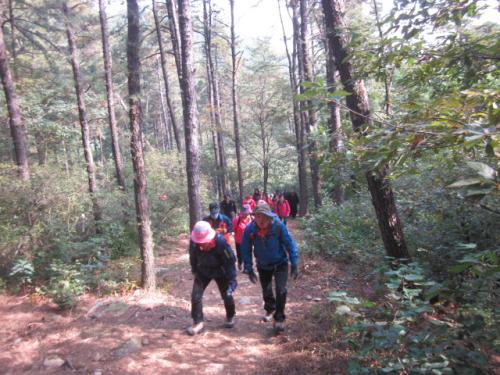 2012.10.13 시민등산대회 이미지
