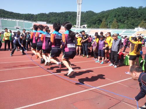 2013년 시민체육대회 개최 이미지