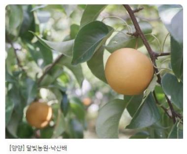 (주)액팅팜 이미지 2
