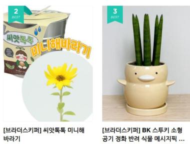 (주)브라더스키퍼 이미지 2