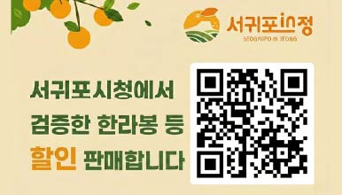 서귀포in정

서귀포시청에서
검증한 한라봉 등
할인 판매합니다