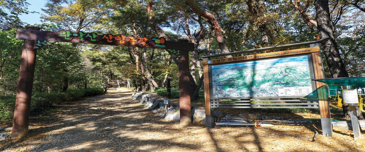 관악산 산림욕장 대표 이미지