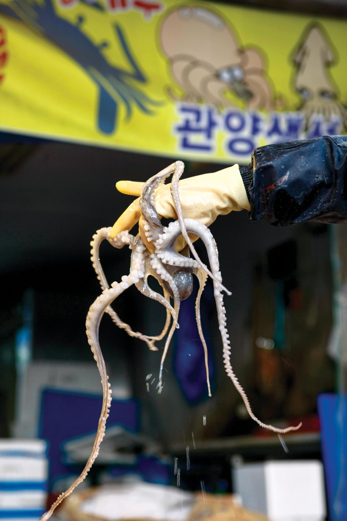 관양시장 이미지 1