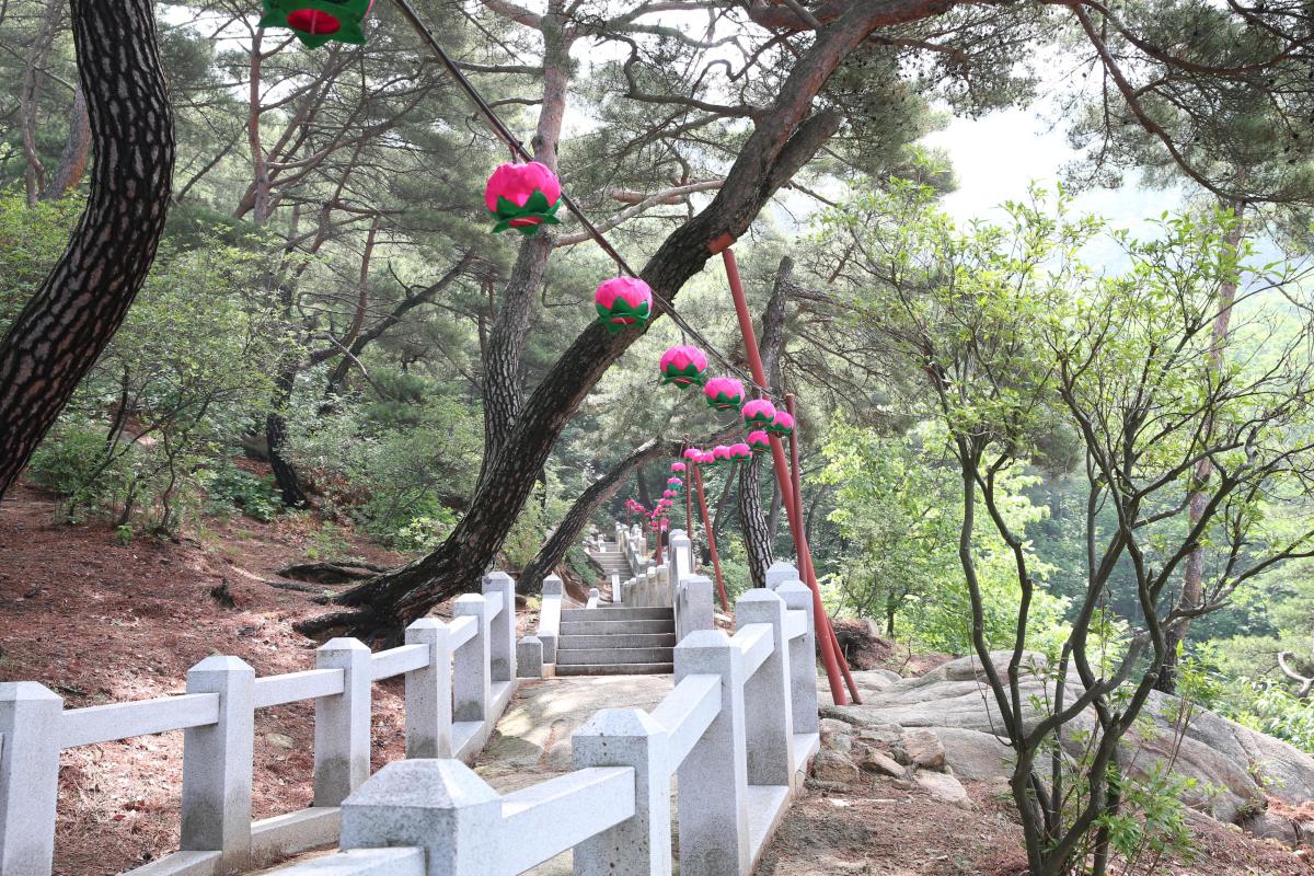 삼막사 이미지 3