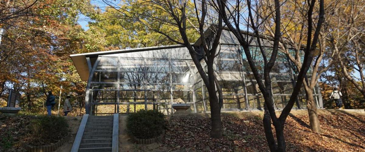 관양동 청동기유적 대표 이미지