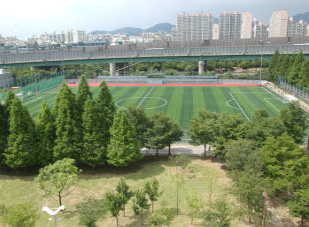 드넓은 인조잔디구장