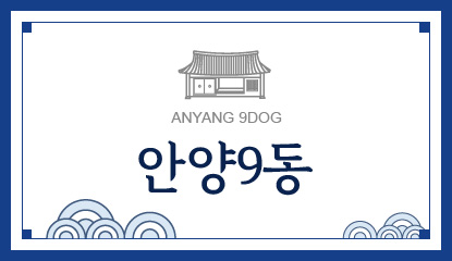 안양9동