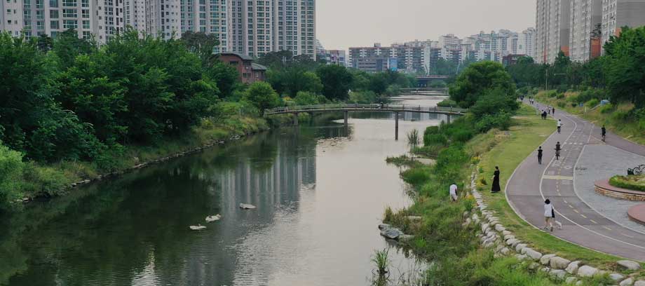 안양천 전경