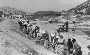 1978년 안양천 정비하는 모습
