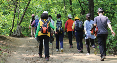 수리산 산림욕장 이미지