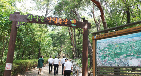 숲 체험 이미지